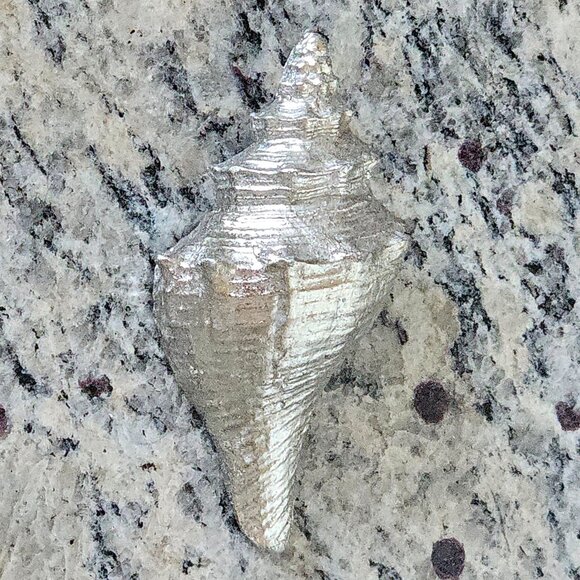 REGINA ANDREW SILVER CONCH SHELL COASTAL BEACH VASE FILLER HOME TABLE DECOR - Picture 1 of 7